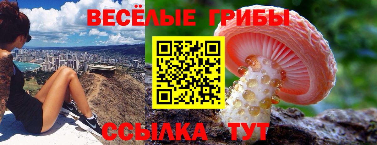 Псилоцибиновые грибы Psilocybine cubensis  Псилоцибиновые грибы Psilocybine cubensis  Вход с VPN  где найти наркотики  Коряжма 